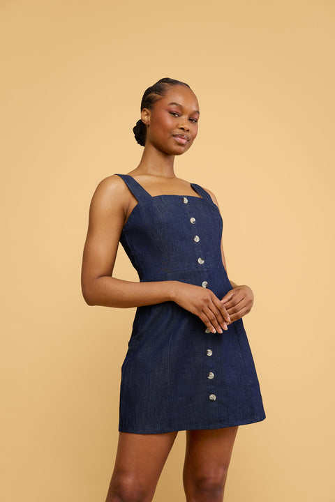 Caitlyn Dress in Denim